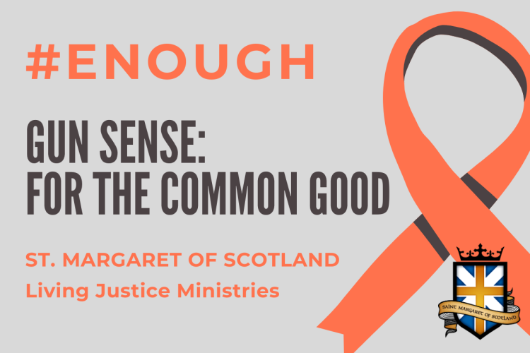 SMOS Gun Sense For the Common Good Banner (1200 × 800 px)