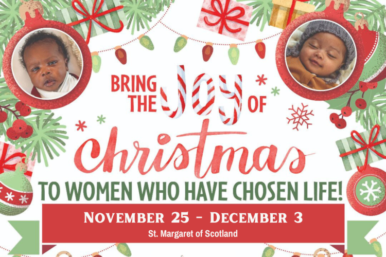 Respect Life Christmas Collection (1200 x 800 px)