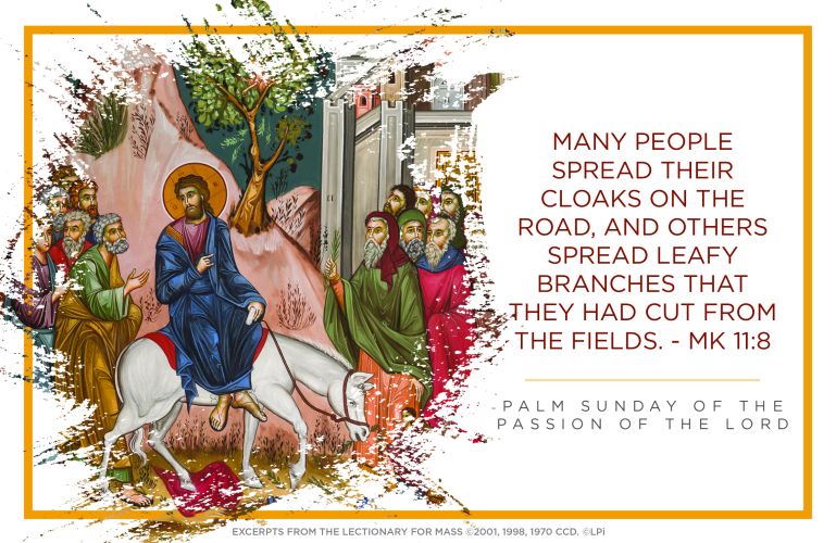 B037Palm_vib21_hlf_EN_4c