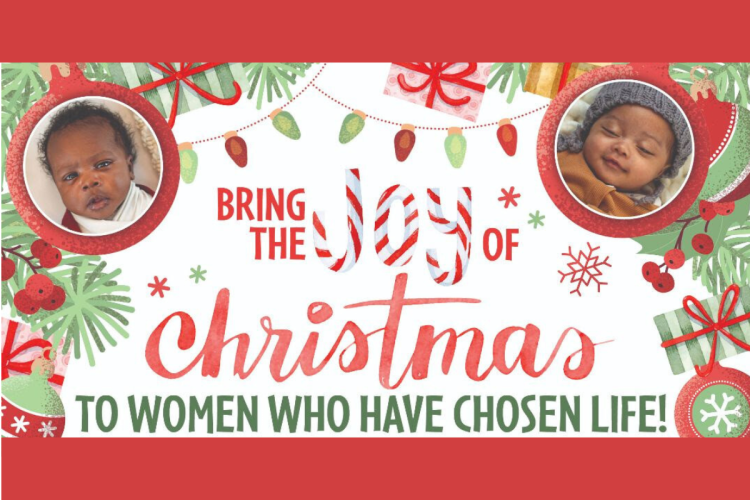 Respect Life Christmas Fundraiser (1200 x 800 px)