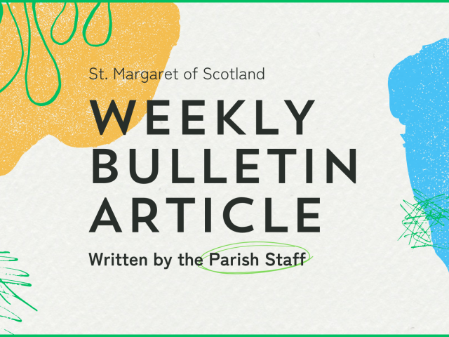Weekly Bulletin Article (1920 x 1080 px)