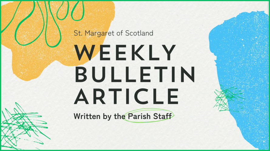 Weekly Bulletin Article (1920 x 1080 px)