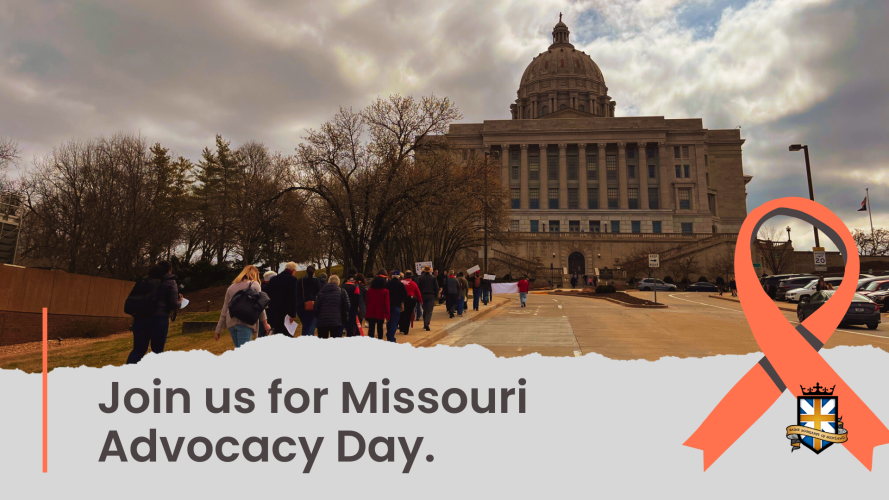 _Gun Sense MO Advocacy Day (1920 x 1080 px)