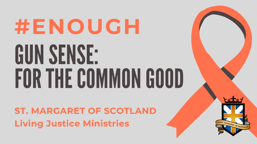 SMOS Gun Sense For the Common Good (1920 x 1080 px)